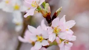 Practical guide for US advertisers to find United States Bilibili creators and run creator-exposure campaigns that increase product visibility.