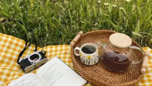 Find Lithuania Moj creators the smart way, spot niche-fit audiences, and turn short-form attention into SaaS trial signups without wasting budget.