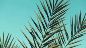 A practical guide to finding Norway Spotify creators who can actually move installs, wishlist intent, and launch buzz for mobile games.