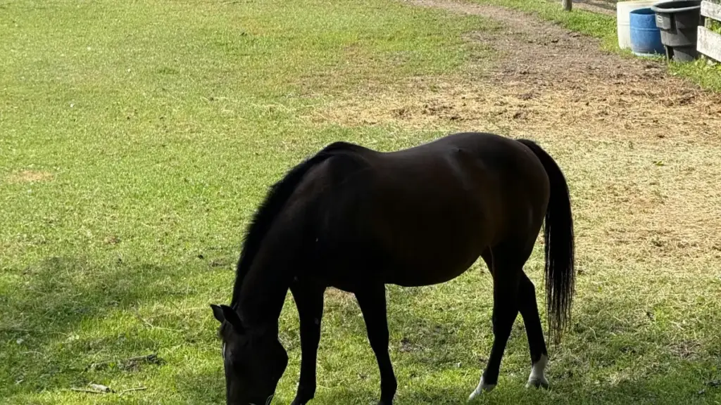 A practical playbook for U.S. creators who want to reach Bosnia and Herzegovina fashion brands on Threads and land wardrobe haul collabs without sounding spammy.