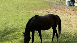 A practical playbook for U.S. creators who want to reach Bosnia and Herzegovina fashion brands on Threads and land wardrobe haul collabs without sounding spammy.