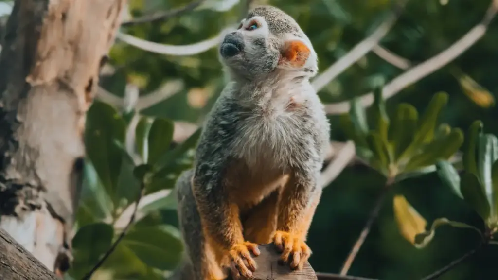 A practical guide to finding Russia-based Viber creators, vetting them fast, and locking in fixed-fee promo deals without the usual back-and-forth.