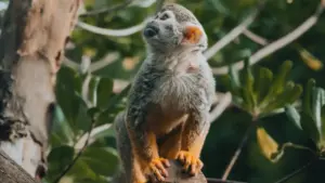 A practical guide to finding Russia-based Viber creators, vetting them fast, and locking in fixed-fee promo deals without the usual back-and-forth.